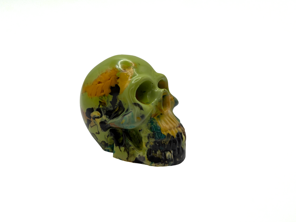 Model Skull 100% Recyled