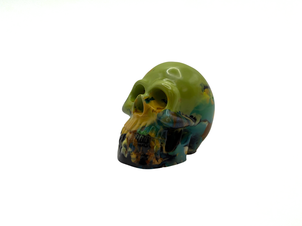Model Skull 100% Recyled