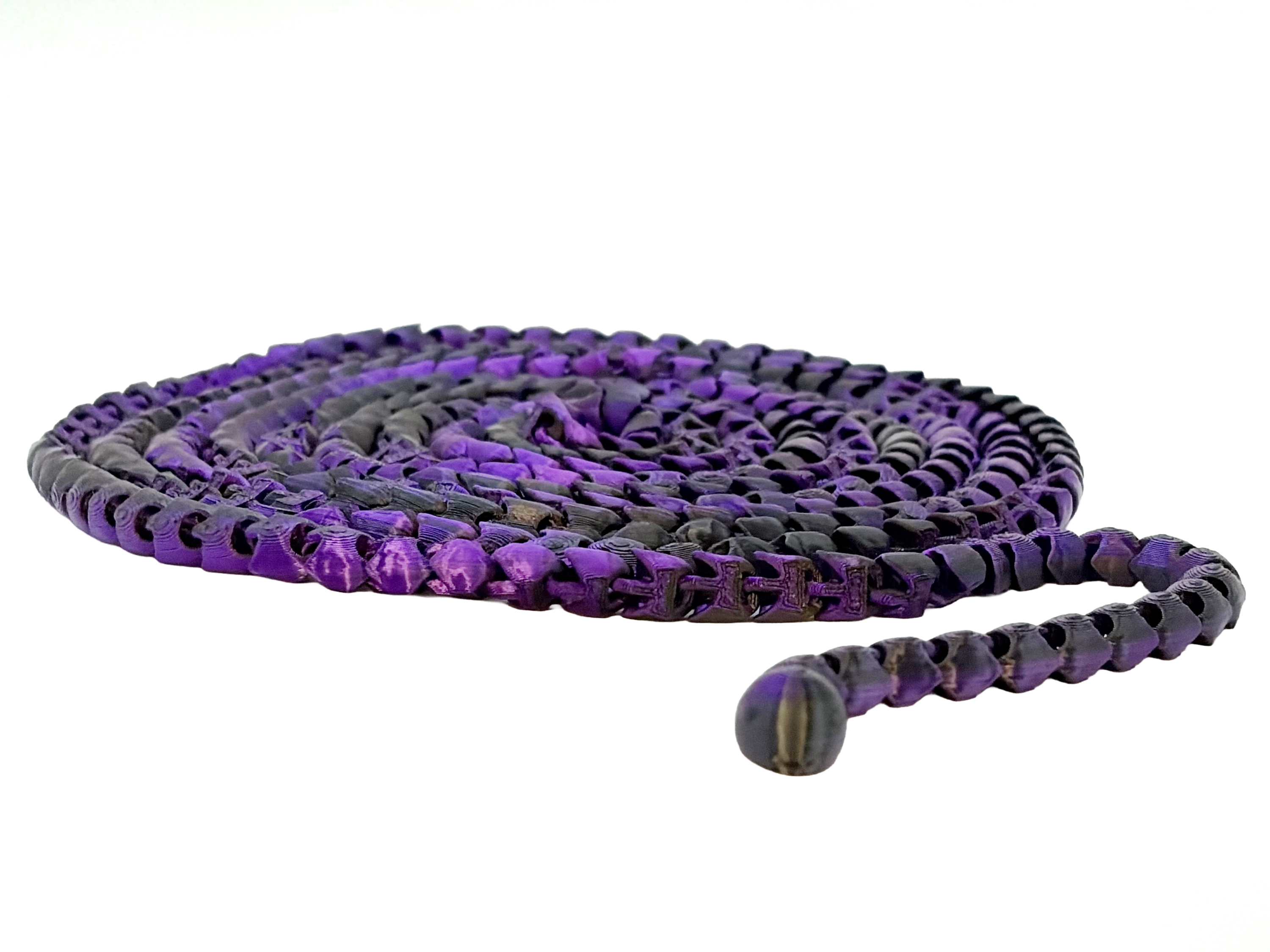 9 Foot 4 Inch Snake Fidget