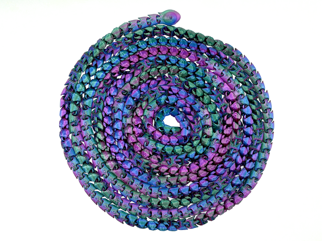 9 Foot 4 Inch Snake Fidget