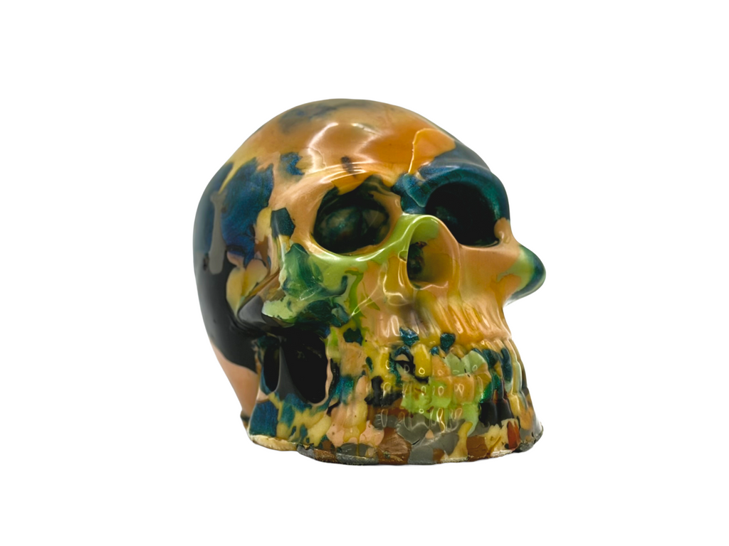 Model Skull 100% Recyled