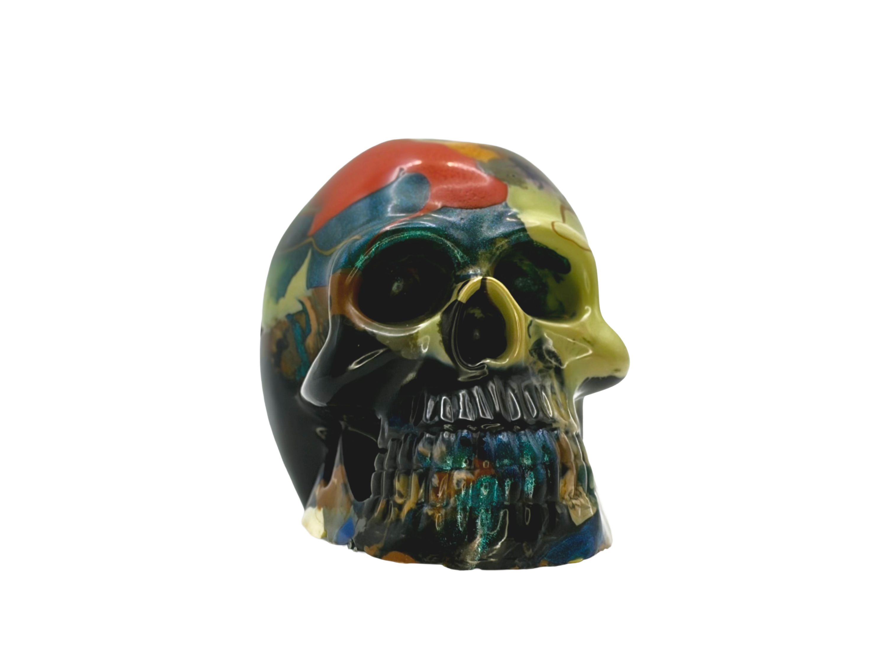 Model Skull 100% Recyled