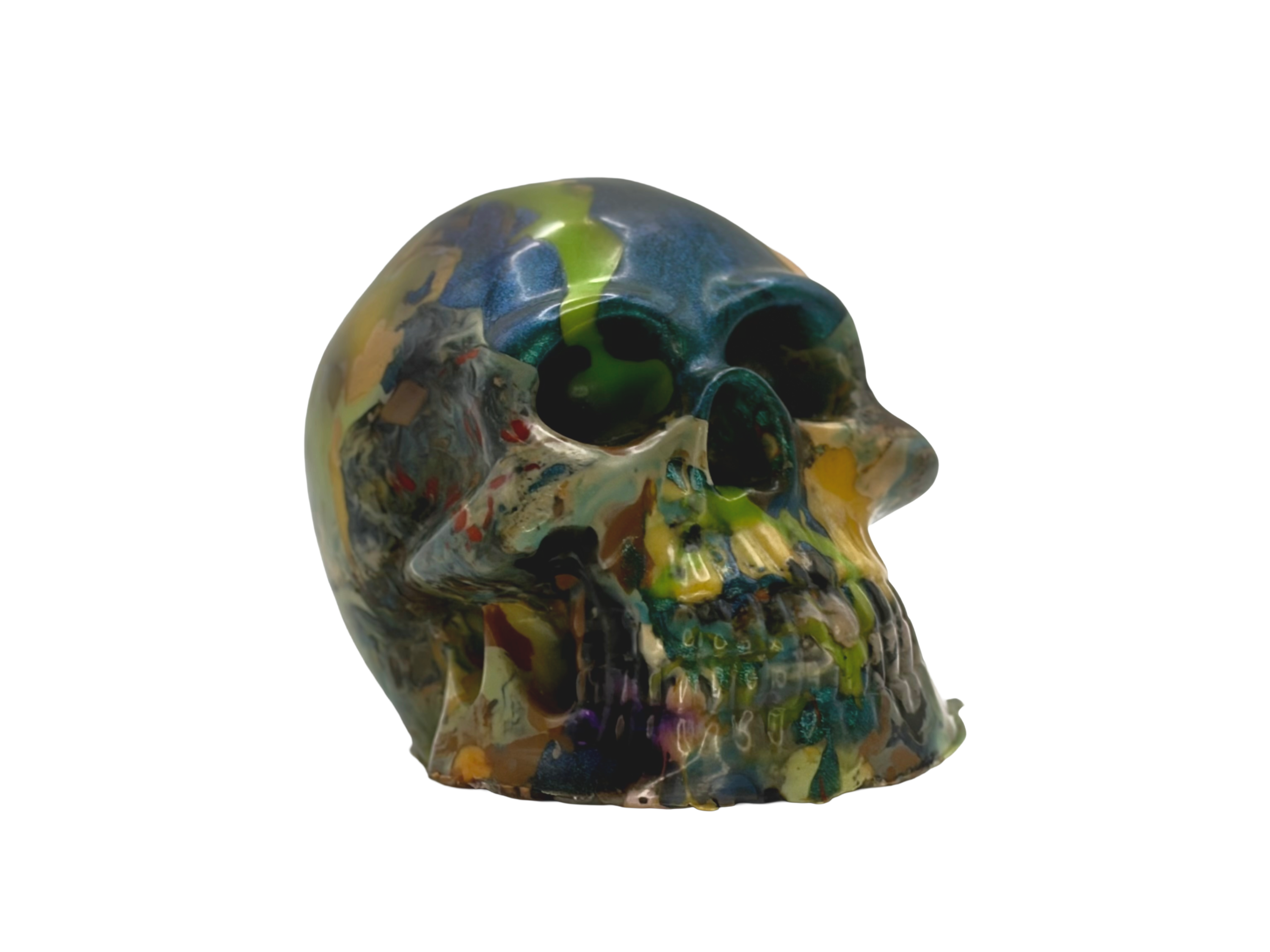 Model Skull 100% Recyled