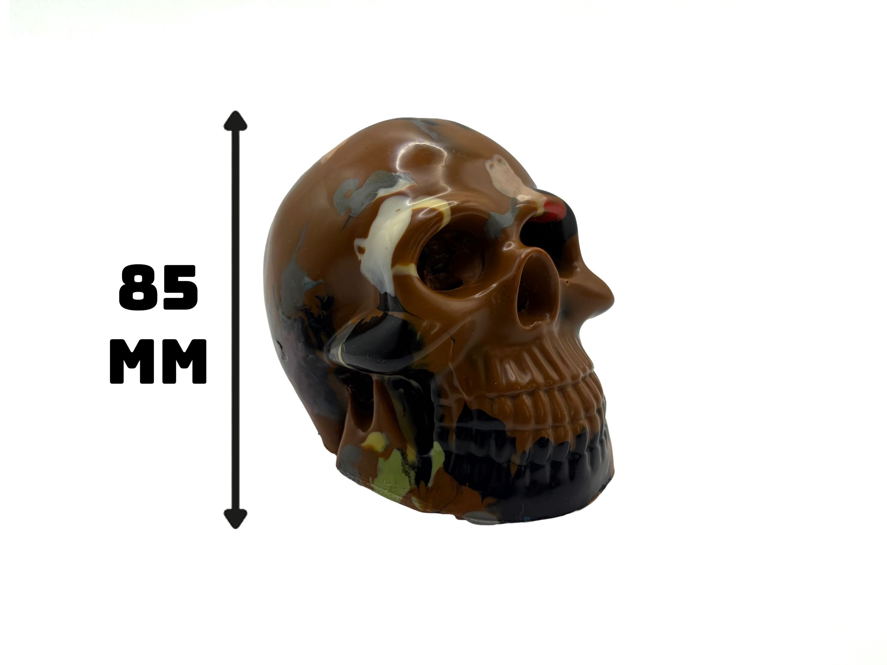 Model Skull 100% Recyled