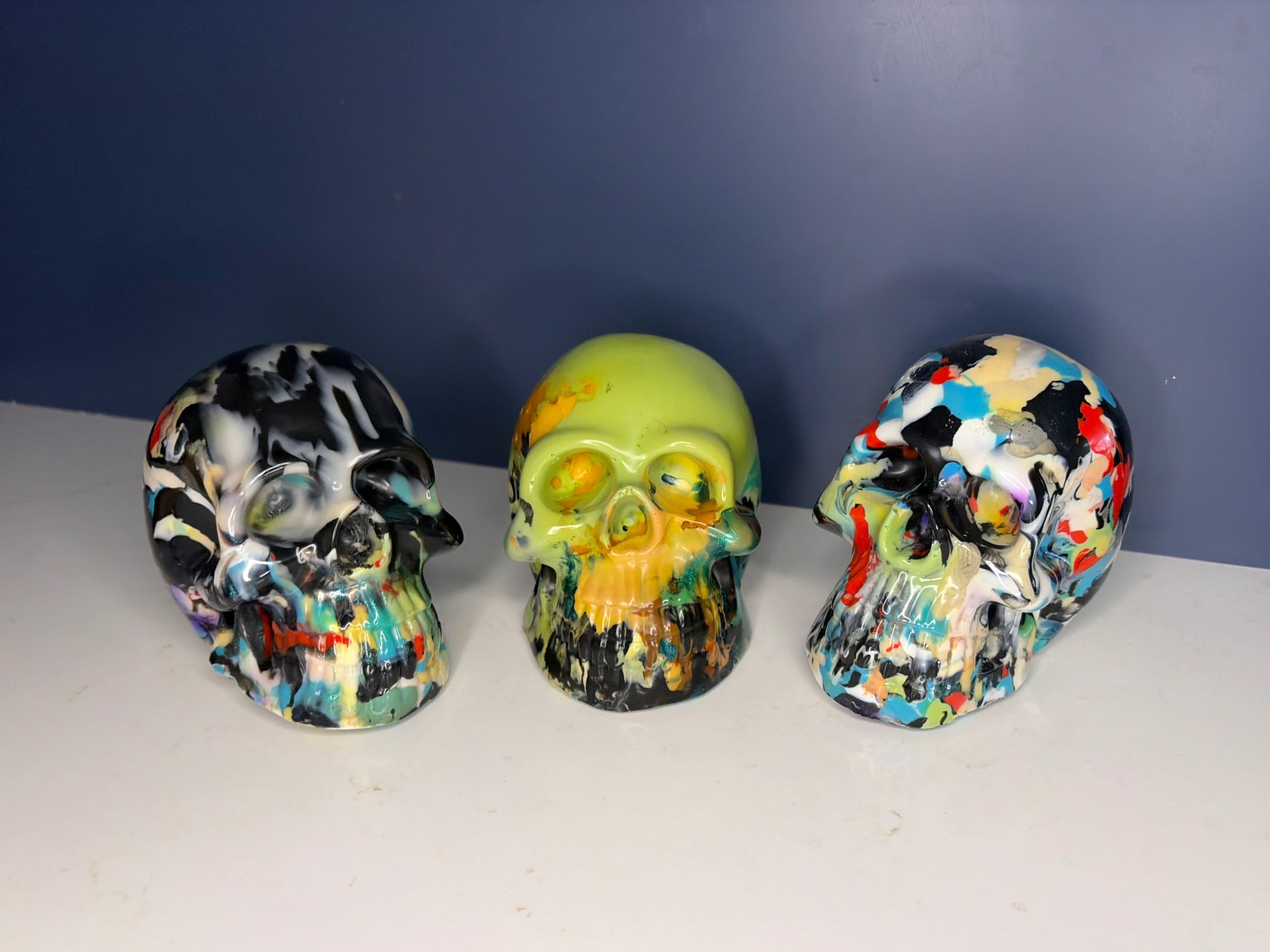 Model Skull 100% Recyled